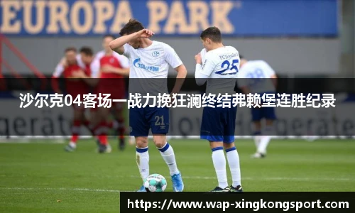 星空体育在线官网